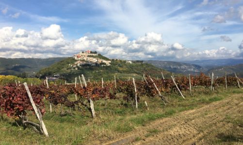 How to Visit Croatian Wineries without a Guide