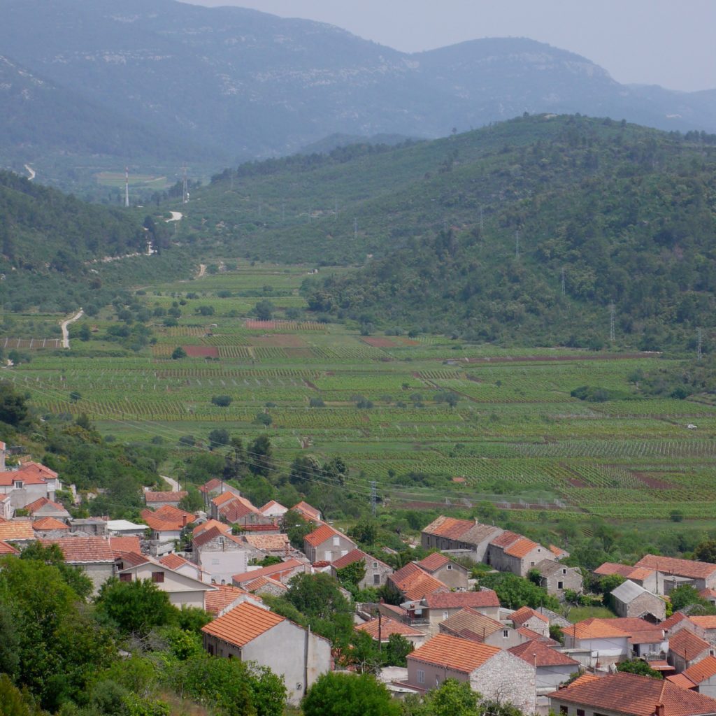 Visiting wineries on Korčula