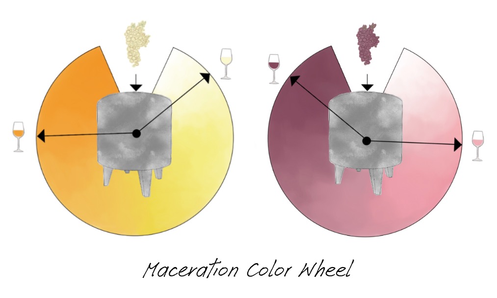 Color wheels show concept of maceration