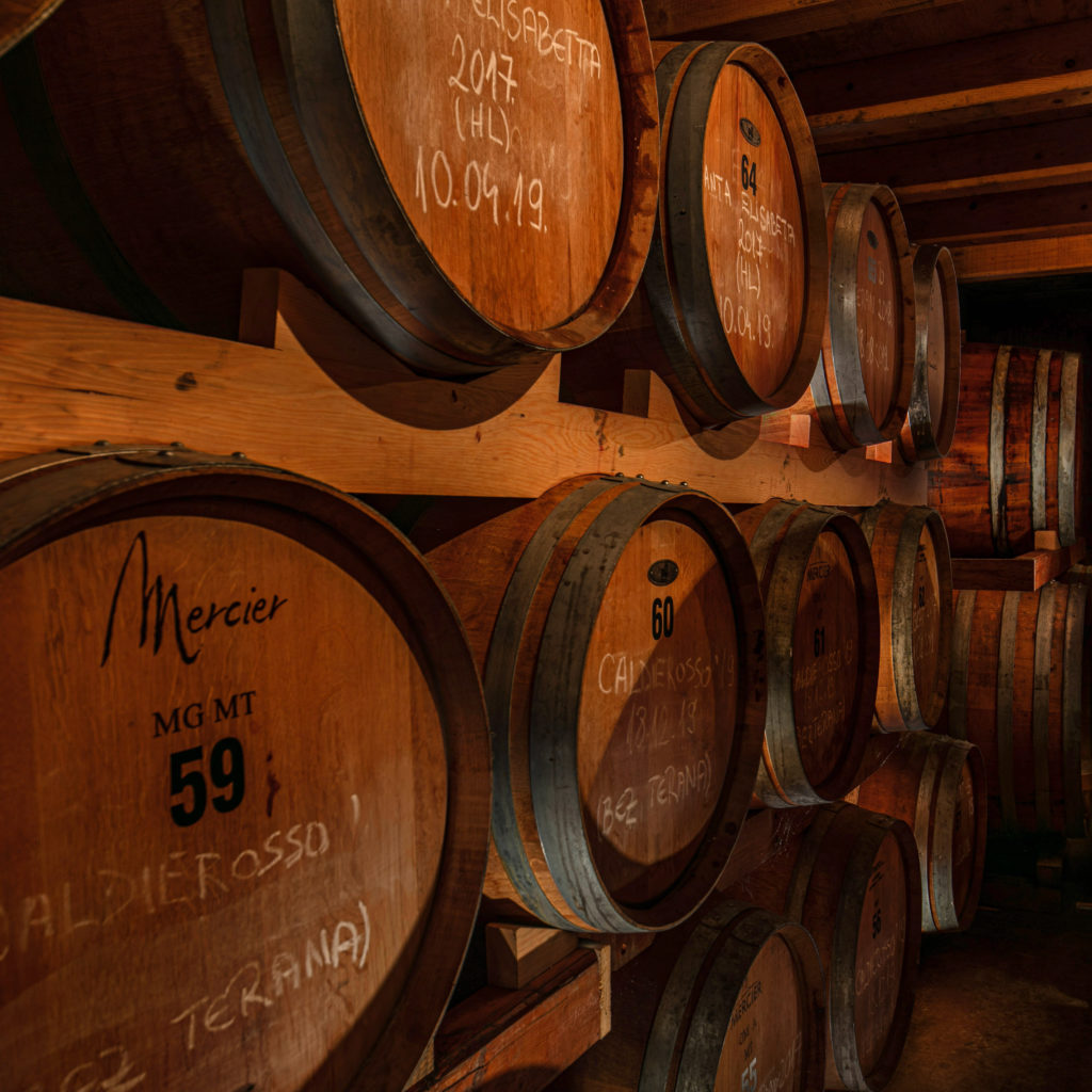 Wines maturing in barrels at Benvenuti, in Istria